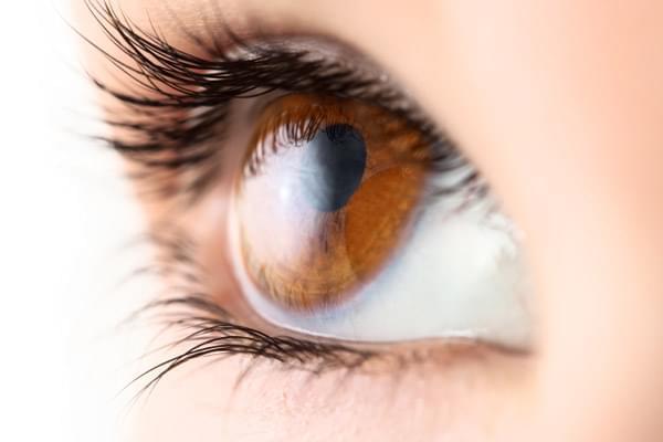 Análisis de Capas de Fibras Nerviosas (ACFN)