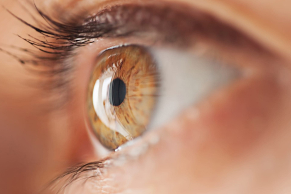 Contaje de Células Endoteliales (Biomicroscopia)